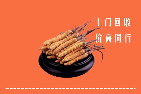 高价求购：河源回收散虫草