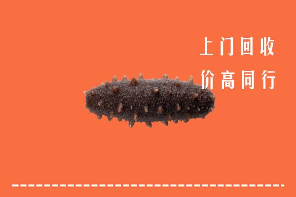 高价求购：河源回收海参