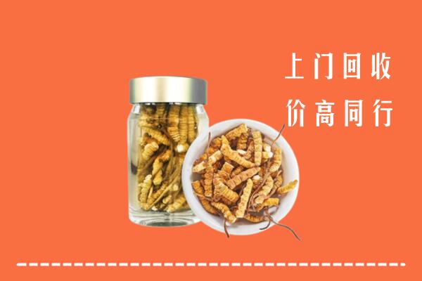 河源回收冬虫夏草