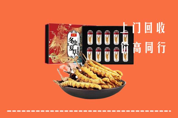 河源回收虫草